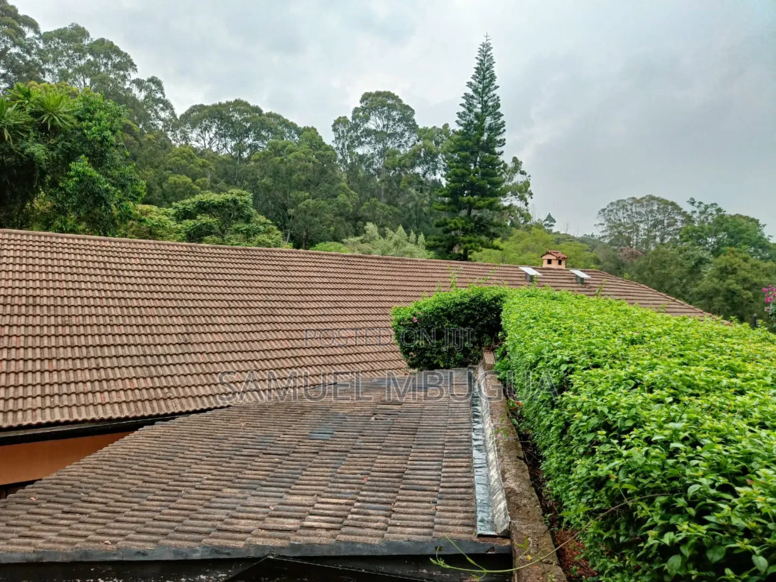 5bdrm House in Hardy for rent