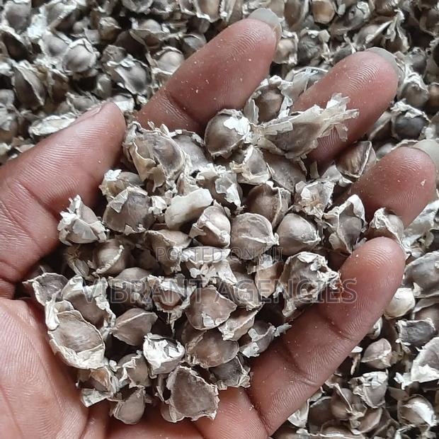 Moringa Oleifera Seeds Price Per Kg