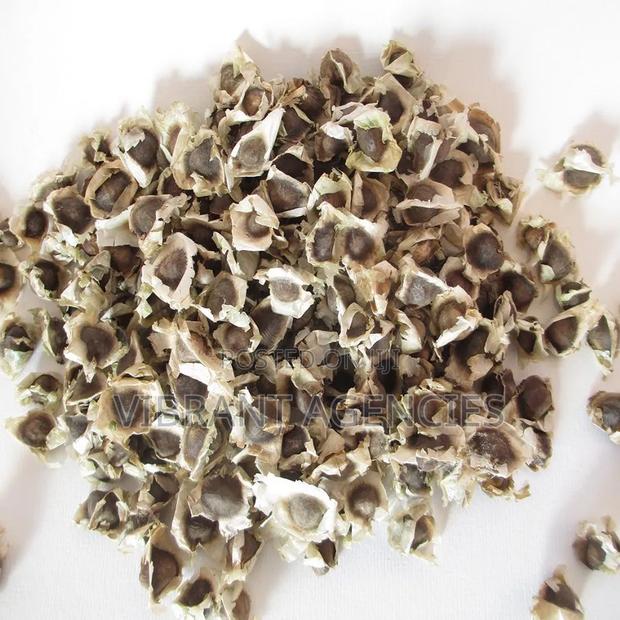 Moringa Oleifera Seeds Price Per Kg - thumbnail 3