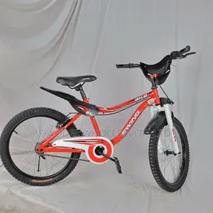 Swing Size 20 Open-Frame BMX Design