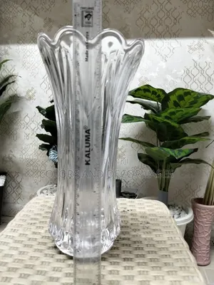 Big Clear Glass Vase