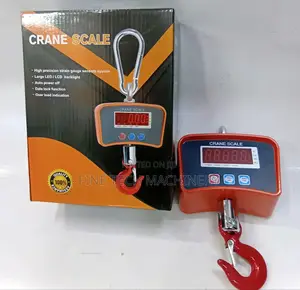 500kg Digital Crane Scale