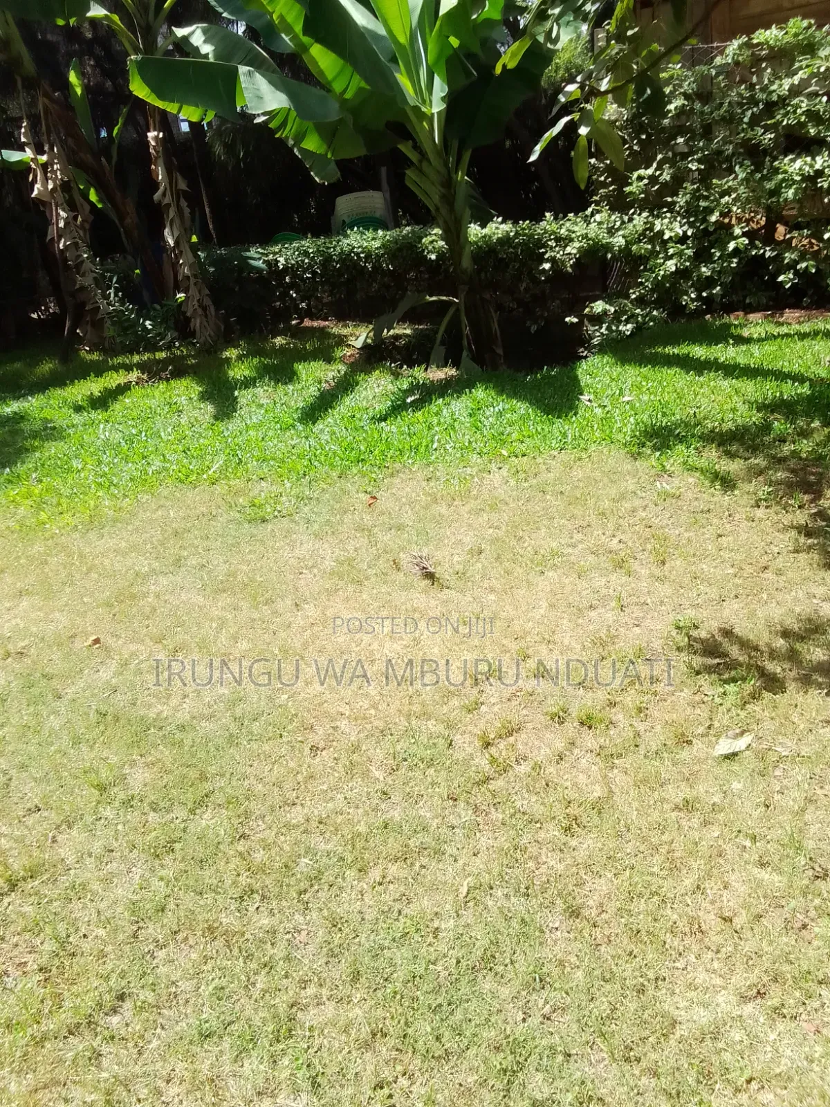 Primeland in Nyeri