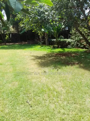 Primeland in Nyeri