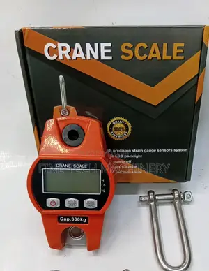 300kg Digital Crane Scale
