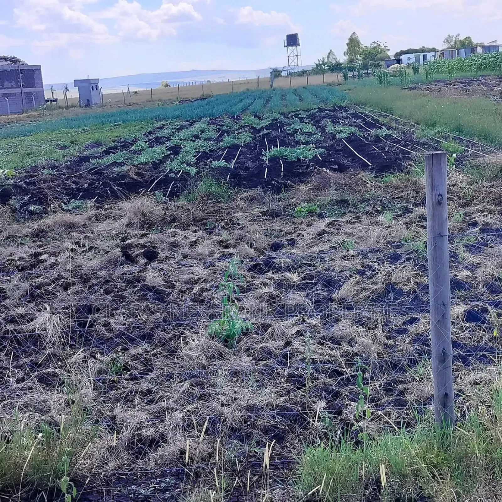 Ready Title 50x100 Isinya Plots At