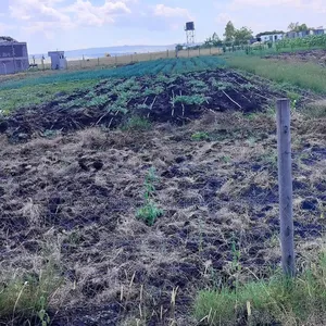 Ready Title 50x100 Isinya Plots At