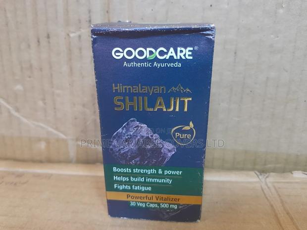 Shajit Support Brin Health Lowering The Risk Of Alzheimer’S Disease