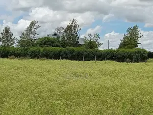 Prime Residential Plots for Sale in Kisaju – Near Mua University