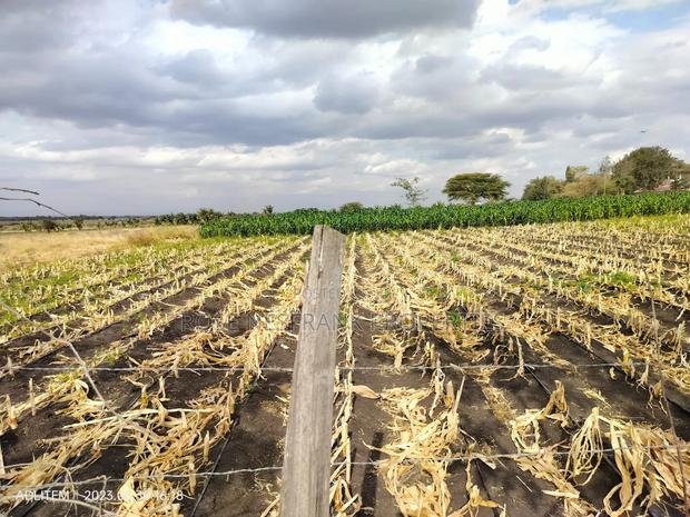 Isinya 50*100 Ready Title Plots at  - thumbnail 4