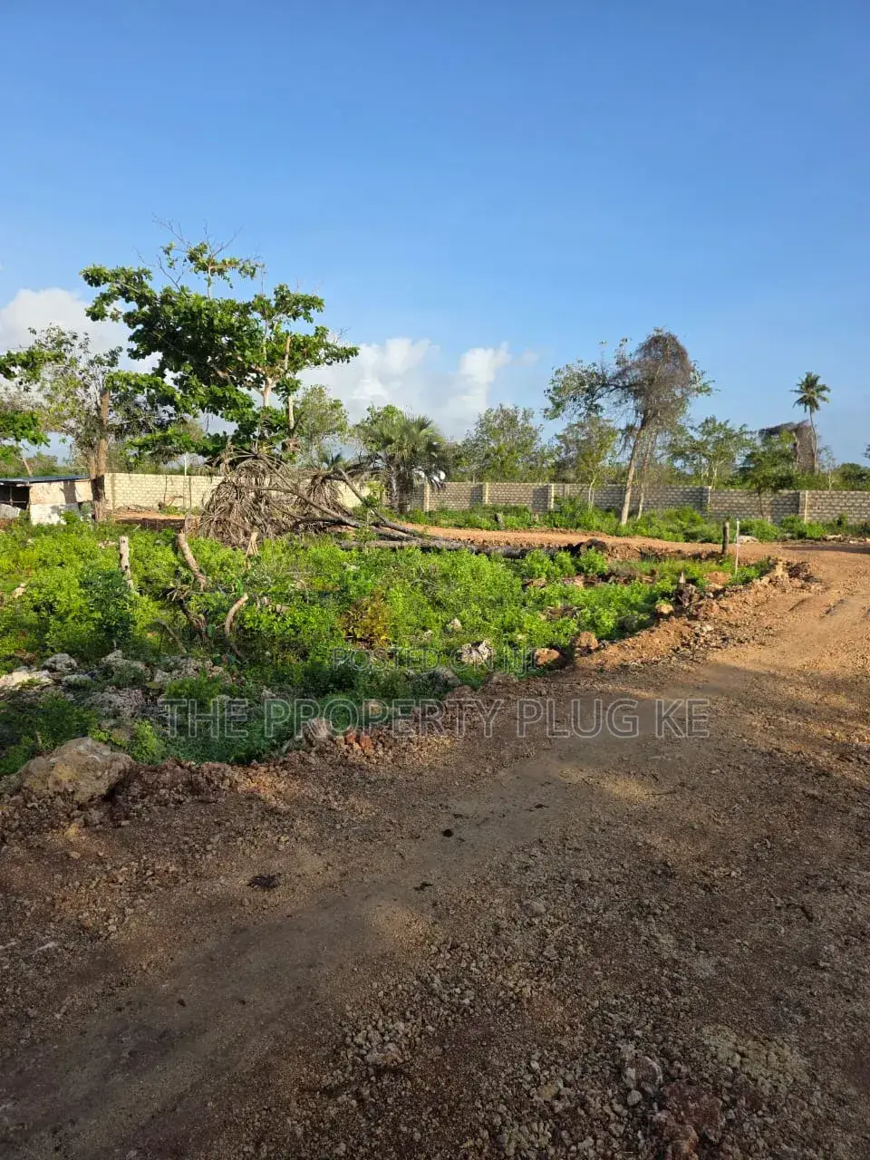 50 By 100 Plots For Sale In Diani