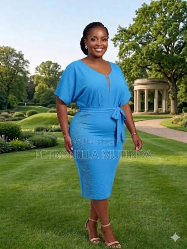 Elegant Women Dress