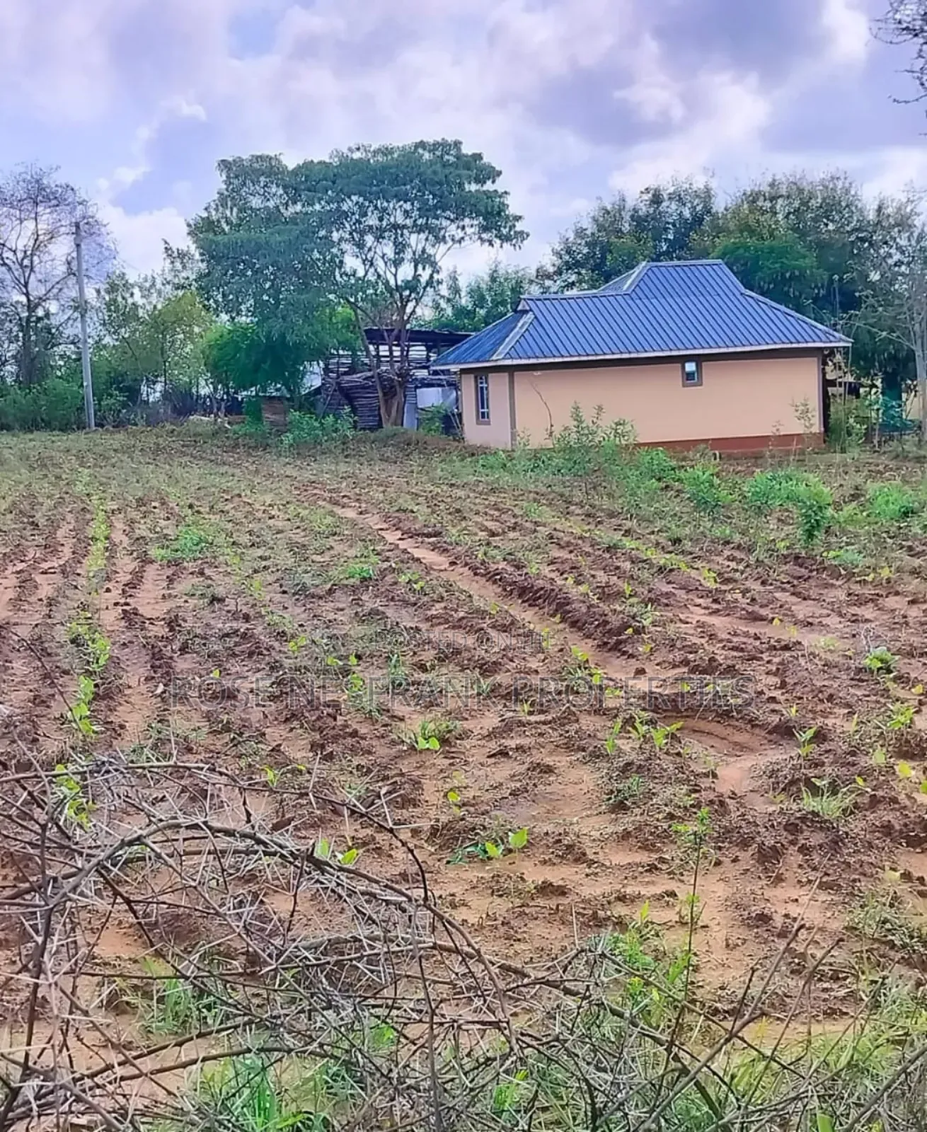 1⁄8 Acre Matuu Ready Title Plots at