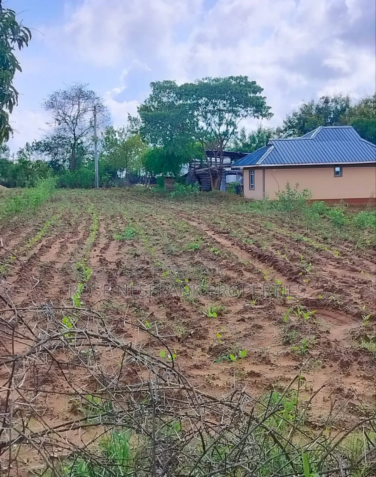 1⁄8 Acre Matuu Ready Title Plots at