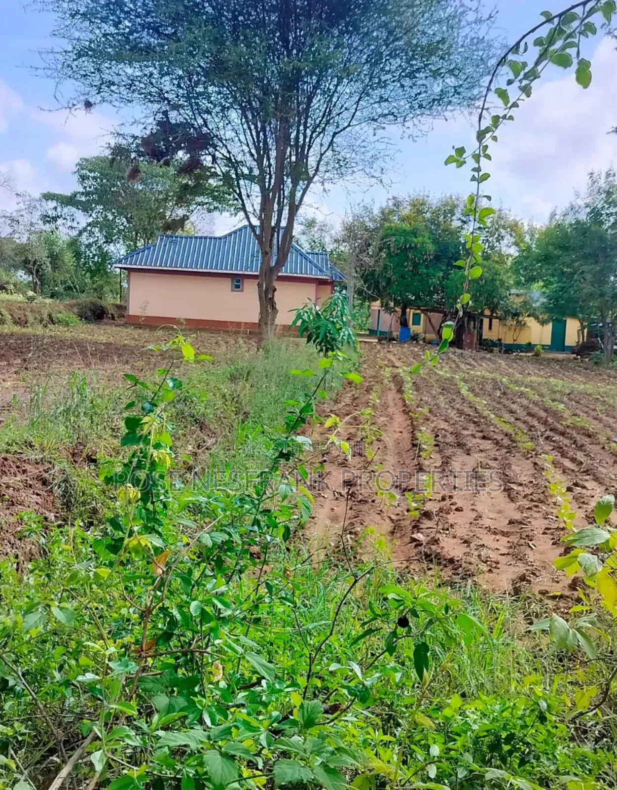 1⁄8 Acre Matuu Ready Title Plots at