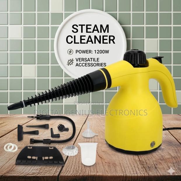 220v Handheld High Temperature Steam Cleaner