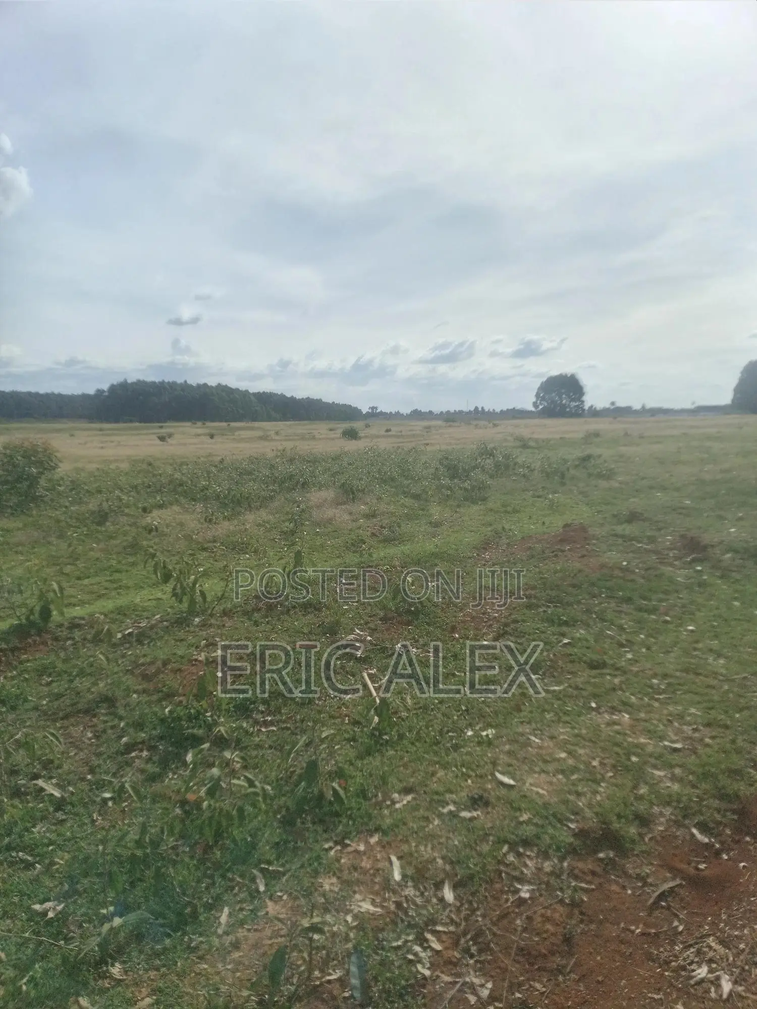 Land for Sale Eldoret Town(1/4acre)