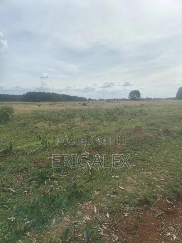 Land for Sale Eldoret Town(1/4acre) - thumbnail 2