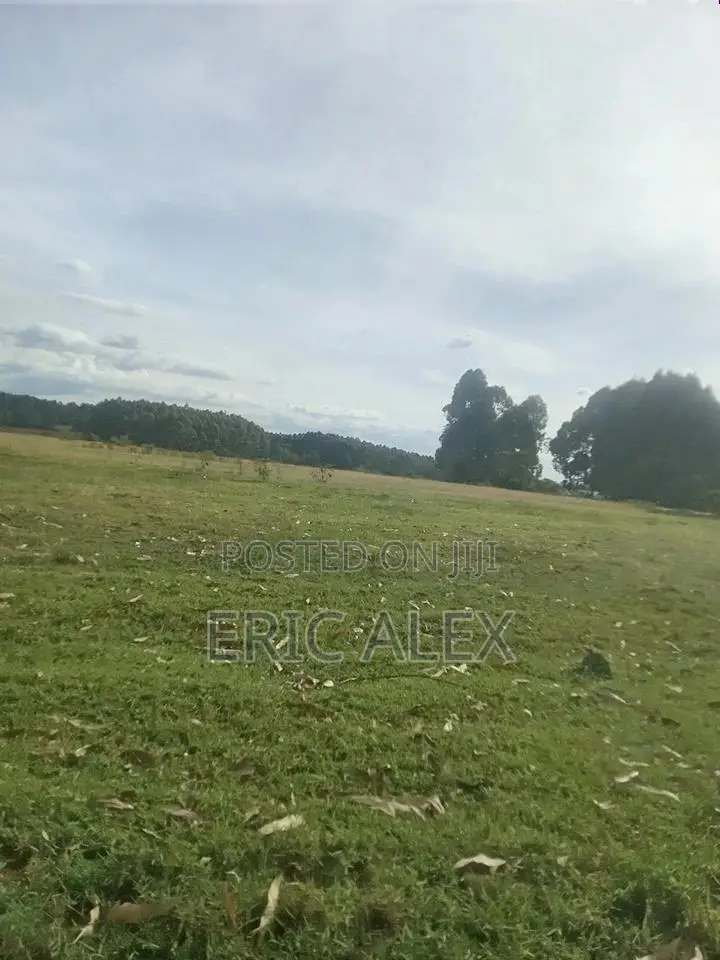 Land for Sale Eldoret Town(1/4acre)