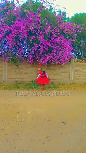 Cute Ladies Outfits