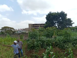 Kiganjo Thika Prime Commercial Plot for Sale