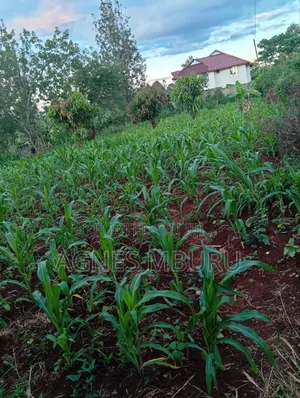 Plots for Sale