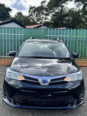 Toyota Corolla Fielder 2019 Black