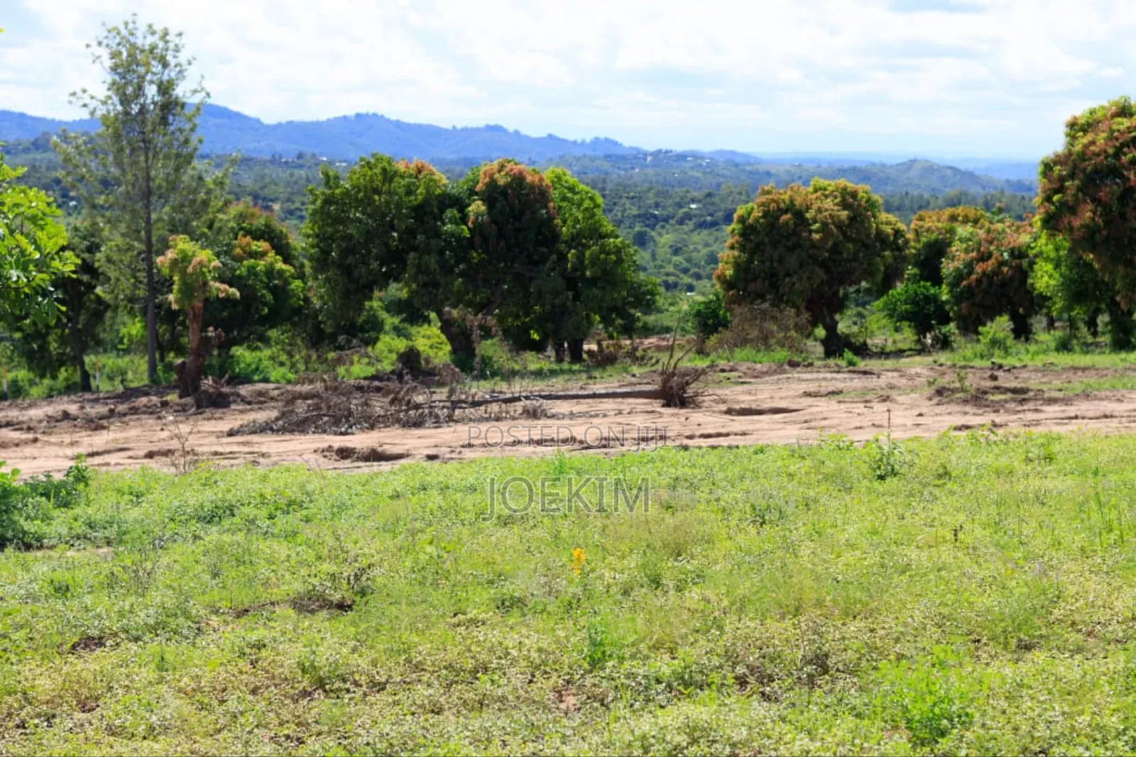 50x100 Plots in Makuyu - Mananja