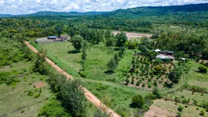 50x100 Plots in Makuyu - Mananja