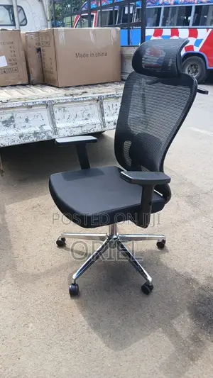 Ergonomic Chairs : High-Back Padded Ergonomic Office Chair