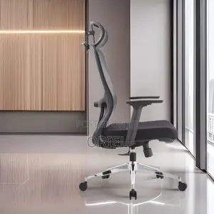 Ergonomic Chairs : High-Back Padded Ergonomic Office Chair