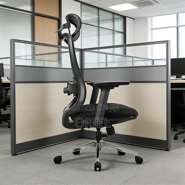 Ergonomic Chairs : High-Back Padded Ergonomic Office Chair - thumbnail 4