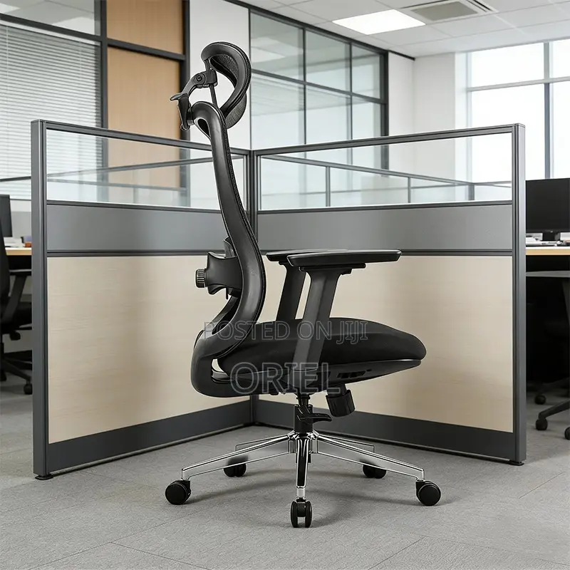 Ergonomic Chairs : High-Back Padded Ergonomic Office Chair