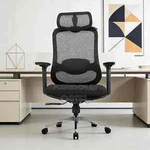 Ergonomic Chairs : High-Back Padded Ergonomic Office Chair