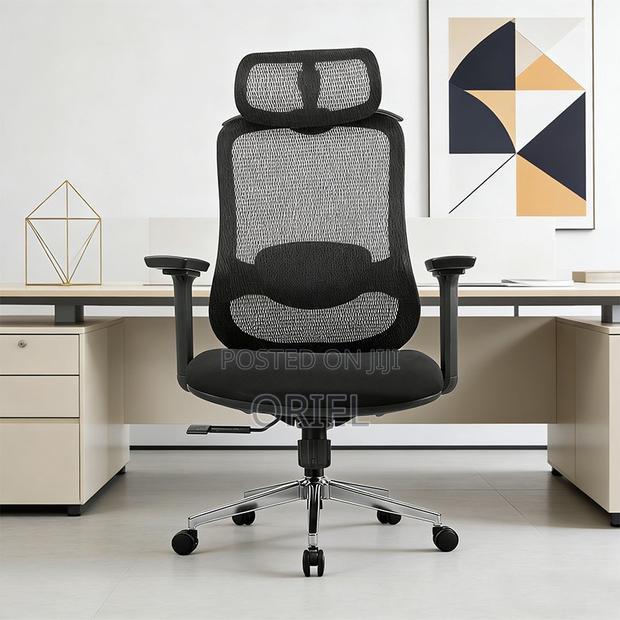 Ergonomic Chairs : High-Back Padded Ergonomic Office Chair - thumbnail 5