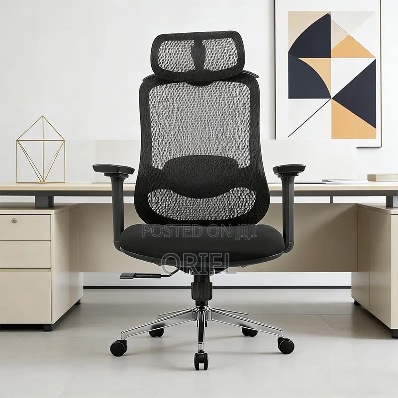 Ergonomic Chairs : High-Back Padded Ergonomic Office Chair