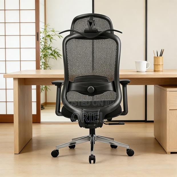 Ergonomic Chairs : High-Back Padded Ergonomic Office Chair - thumbnail 7