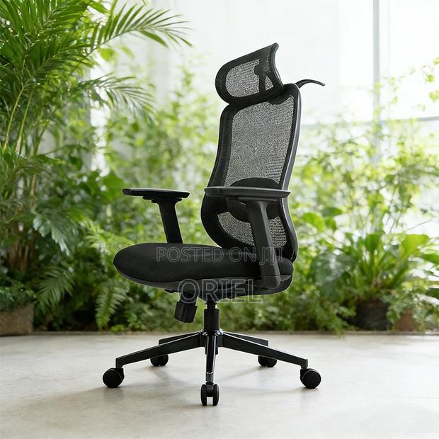 Ergonomic Chairs : High-Back Padded Ergonomic Office Chair - thumbnail 10