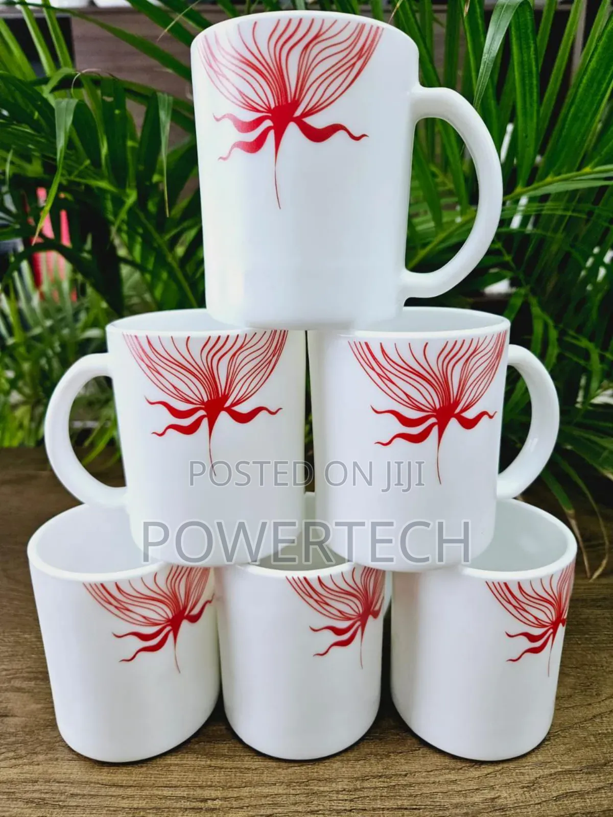 *Set of 6 Ceramic Cups