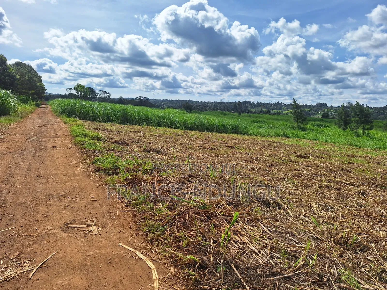20 Acres Along Kiambu Limuru Road for Sale