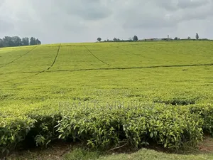20 Acres Along Kiambu Limuru Road for Sale