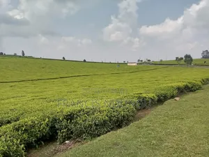 20 Acres Along Kiambu Limuru Road for Sale