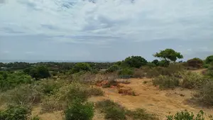 Prime Sea View Land for Sale Mambrui