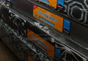 Mattress 10 Inch Plain 5*6 Morning Glory (5*6)