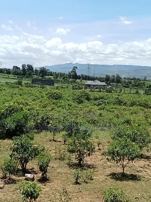 50*100plots in Gilgil