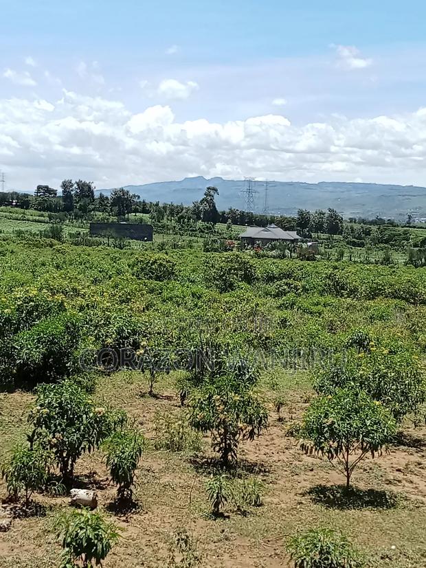 50*100plots in Gilgil - thumbnail 3