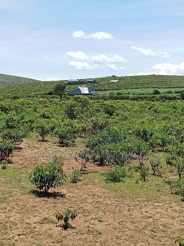 50*100plots in Gilgil - thumbnail 4