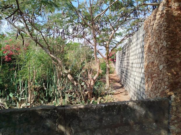 1/4 Acre Plot for Sale Malindi Casaurina - thumbnail 6
