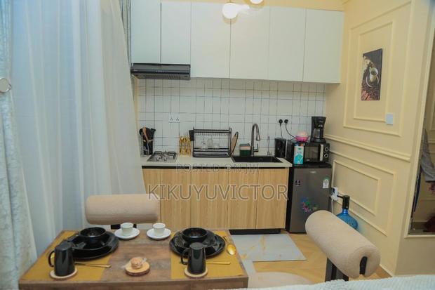 Furnished Studio Apartment in Hotel 67 Area for rent - thumbnail 9