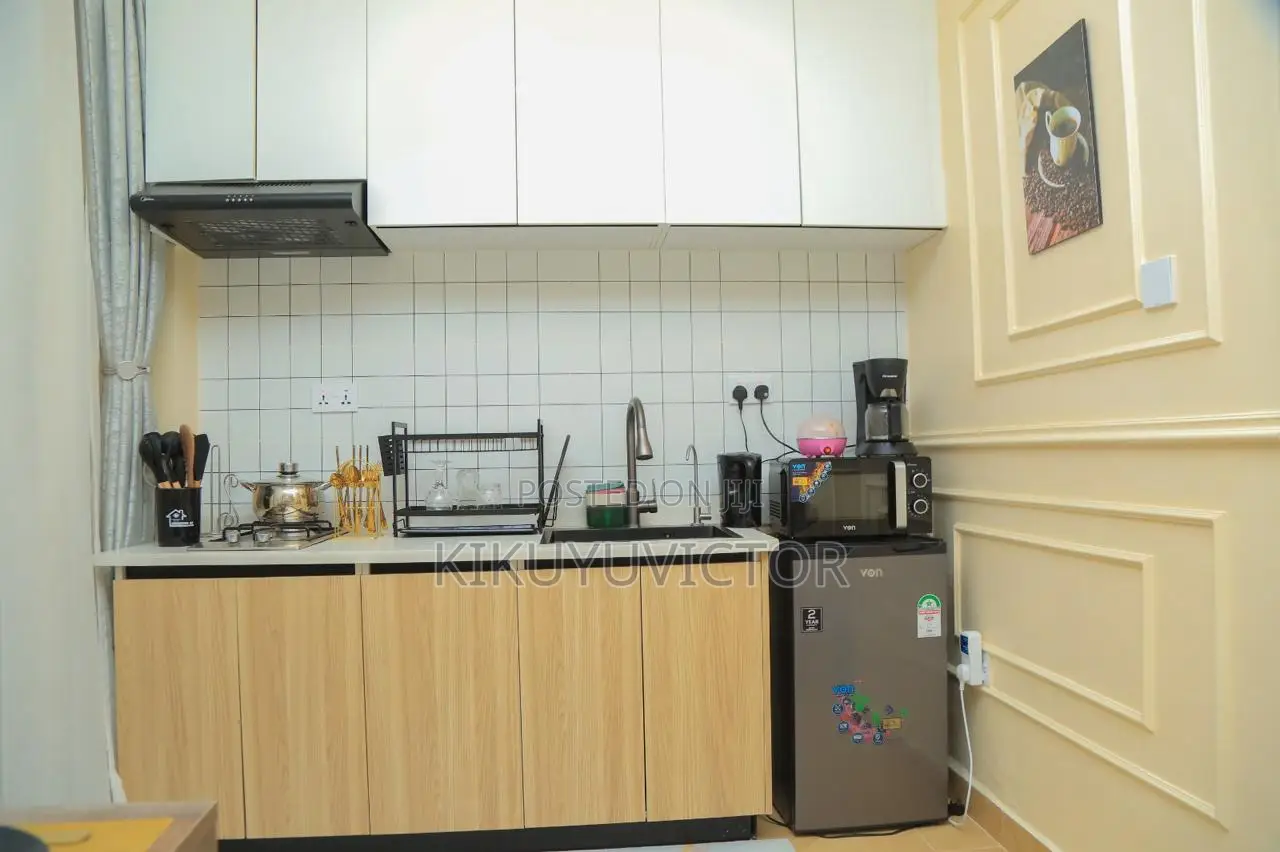 Furnished Studio Apartment in Hotel 67 Area for rent